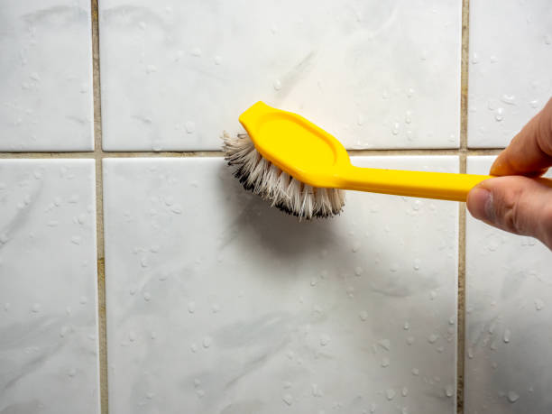 Best Affordable Mold Removal  in Gretna, LA